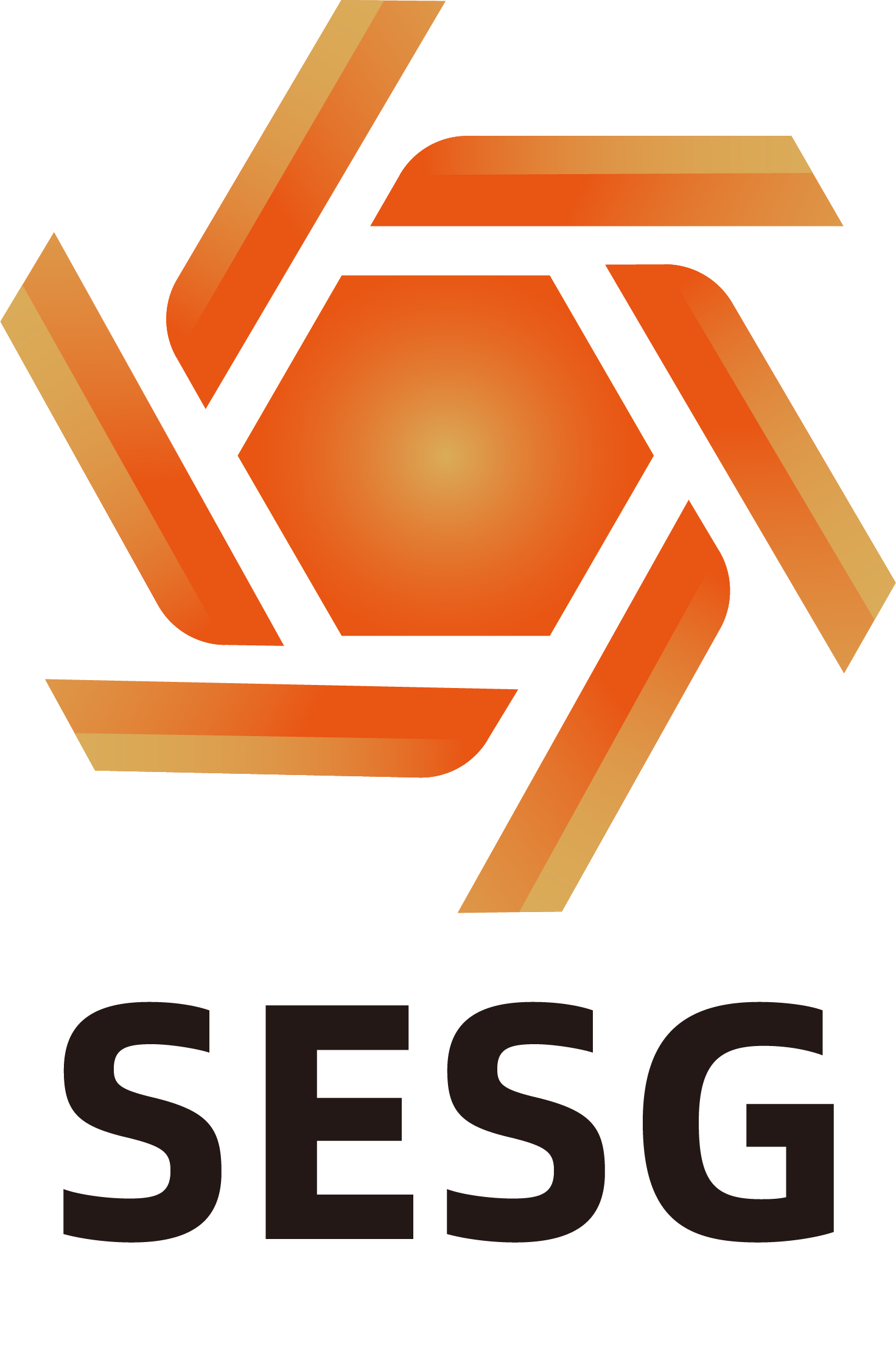 SESG 2025